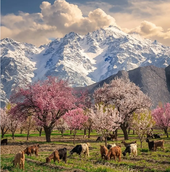 Hunza Valley travel landscape and village views